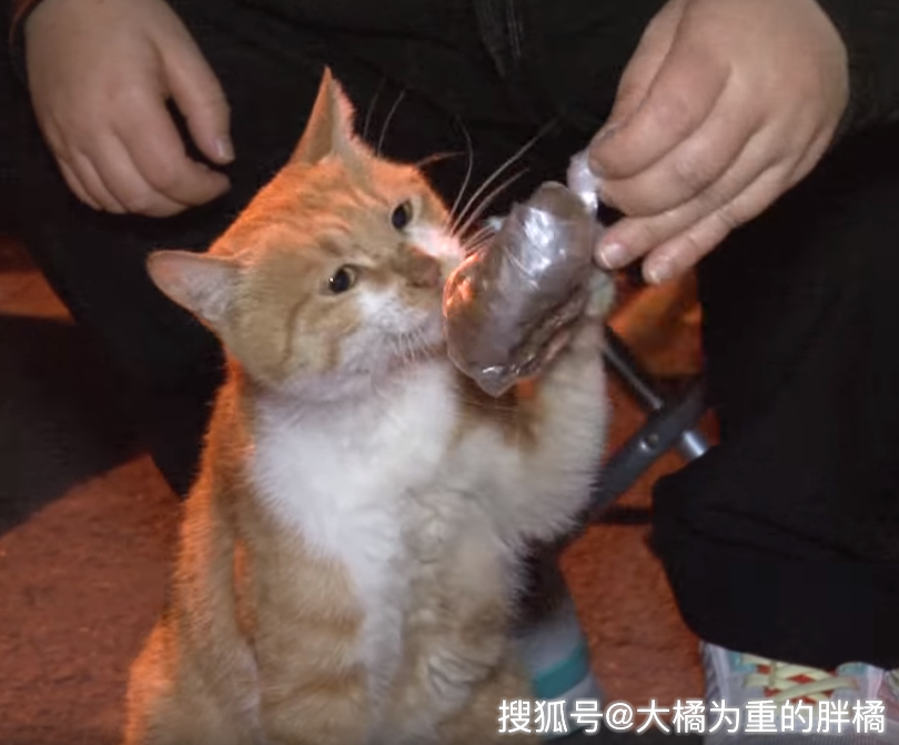 d6fa6258bdbb499497c06a86dee26a1a.png