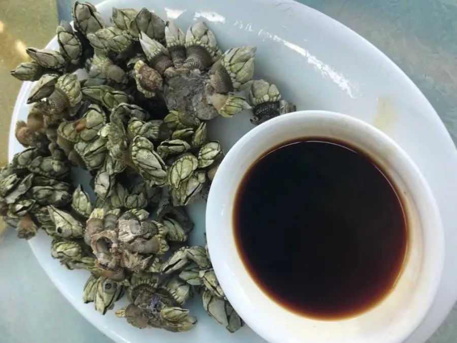 成语什么龟手药_成语故事简笔画(3)