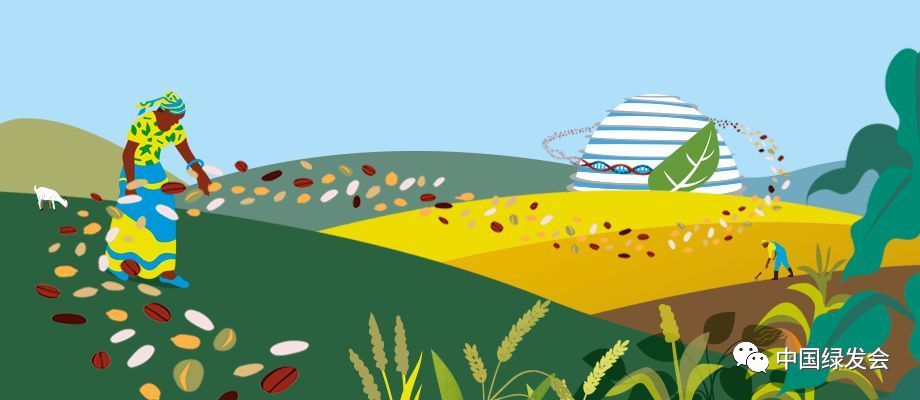 周晋峰受邀参加种子世界·2019国际会议 | 从