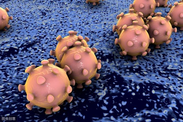 e424acc0b706477fb164d4a63401bf77.jpeg