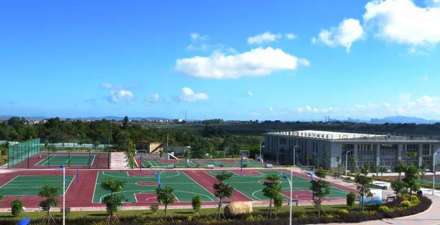 利好,退役军人免费拿全日制学历