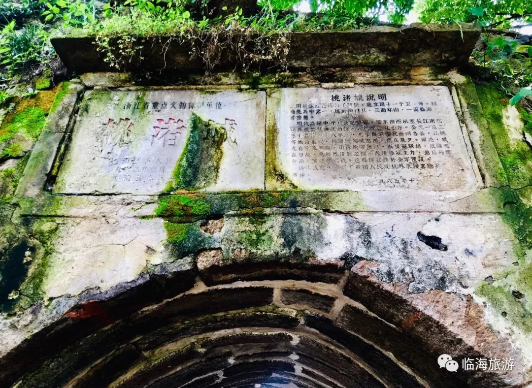 夏末初秋的桃渚古城老街清悠田野葱绿清风袭人美极了