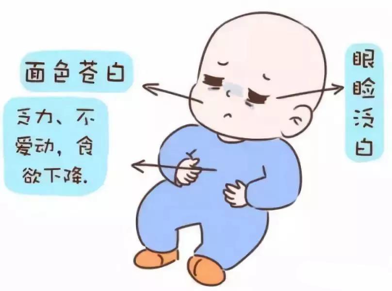                     每3个宝宝就有1人贫血！这样食补就对了！