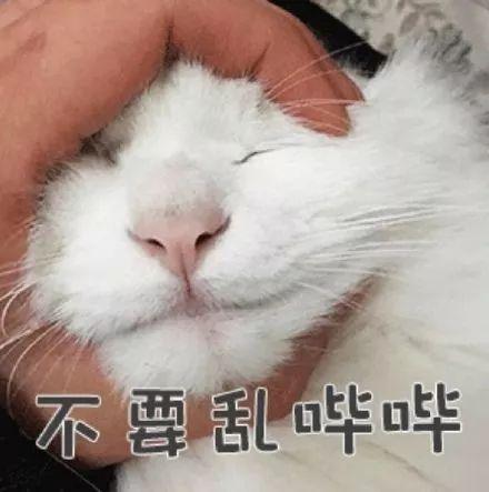 表情包丨周五离周一那么近