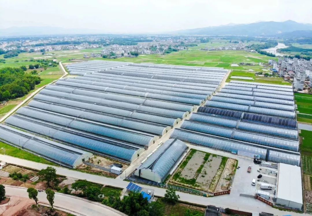 赣州大余县gdp_赣南十八县经济实力排行榜,快来看全南排第几