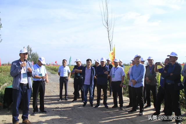 当天上午,会议代表现场观摩了张掖市新大弓农化有限公司党寨田家闸村