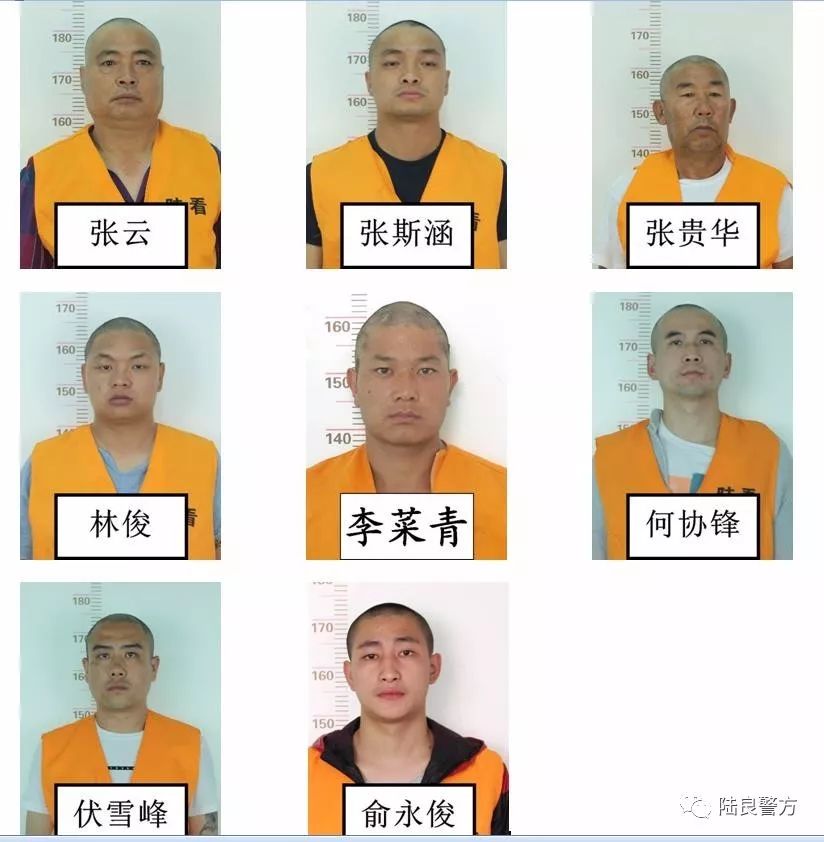 大快人心陆良张云张斯涵大疯子等人被抓了全城征集犯罪线索