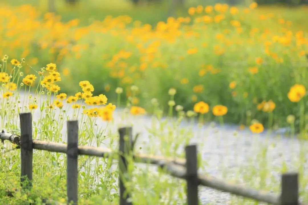 简单的生活平平淡淡的过 1a7f455f47244e7ba250138c7f9ab6f2.jpeg