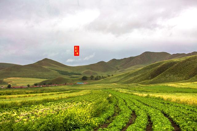 柳樹溝，這個土掉渣的名字，溝裡的風光據說能和瑞士媲美 旅遊 第30張