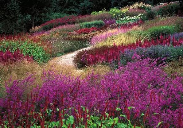 黄色的灯泡花 1ca0c62727bf4d588e744633c48db139.jpeg