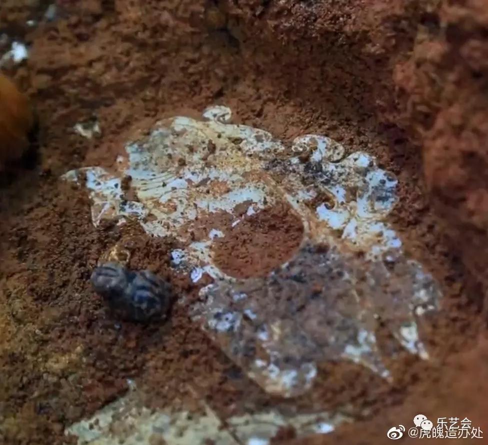 浅谈两汉魏晋南北朝琥珀兽形饰 史学研究 第9张-我们的平安彩票导航网 浅谈两汉魏晋南北朝琥珀兽形饰 史学研究 第9张