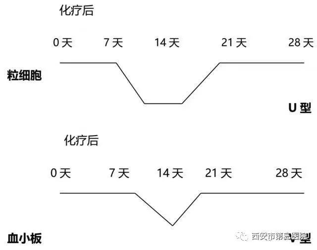 【不慌不怕】乳腺癌化疗后白细胞下降,如何处理?