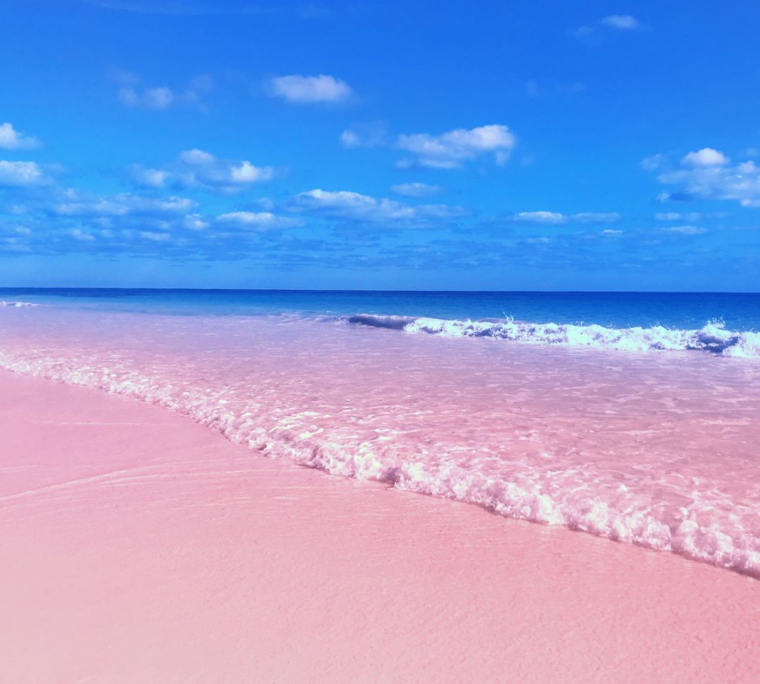 世界最性感沙滩，一片粉红_旅游_环球网