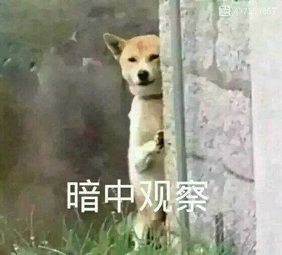 那当然就少不了猫啦~ 而实际上, 猫也确实有这样的沙雕表情包.