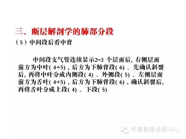 收藏 轻松掌握肺部解剖和分段