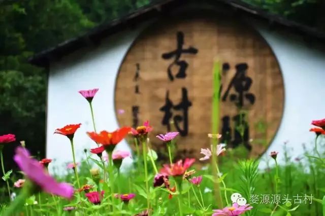 世俗的烦恼 2a8d5582bd1b48ccb55c0b8c3af258bc.jpeg