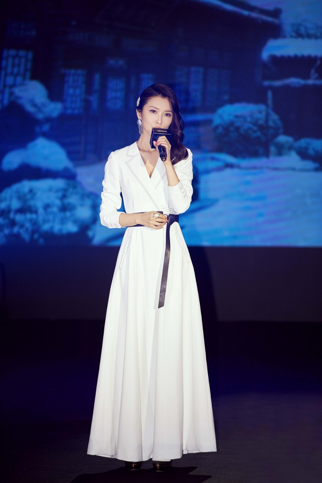 徐洁儿优雅亮相网影盛典  获封“年度剧集青年榜样女演员”