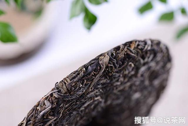 为何刚压好的普洱茶饼，香气没有散茶好？