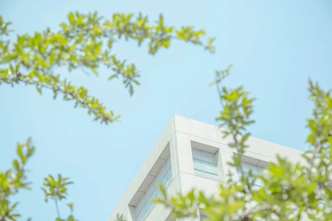 那些年,你错过的长大夏天!