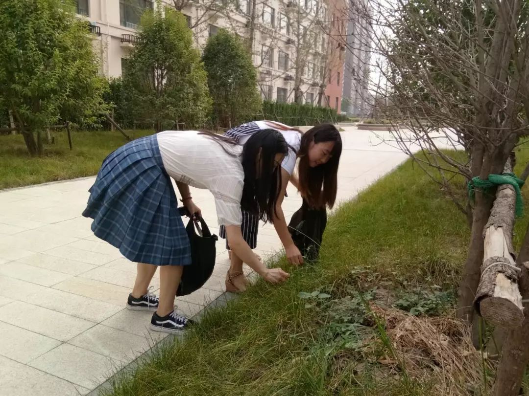 守护一方净土共建美丽校园济南市天桥区滨河左岸小学全面开展卫生大