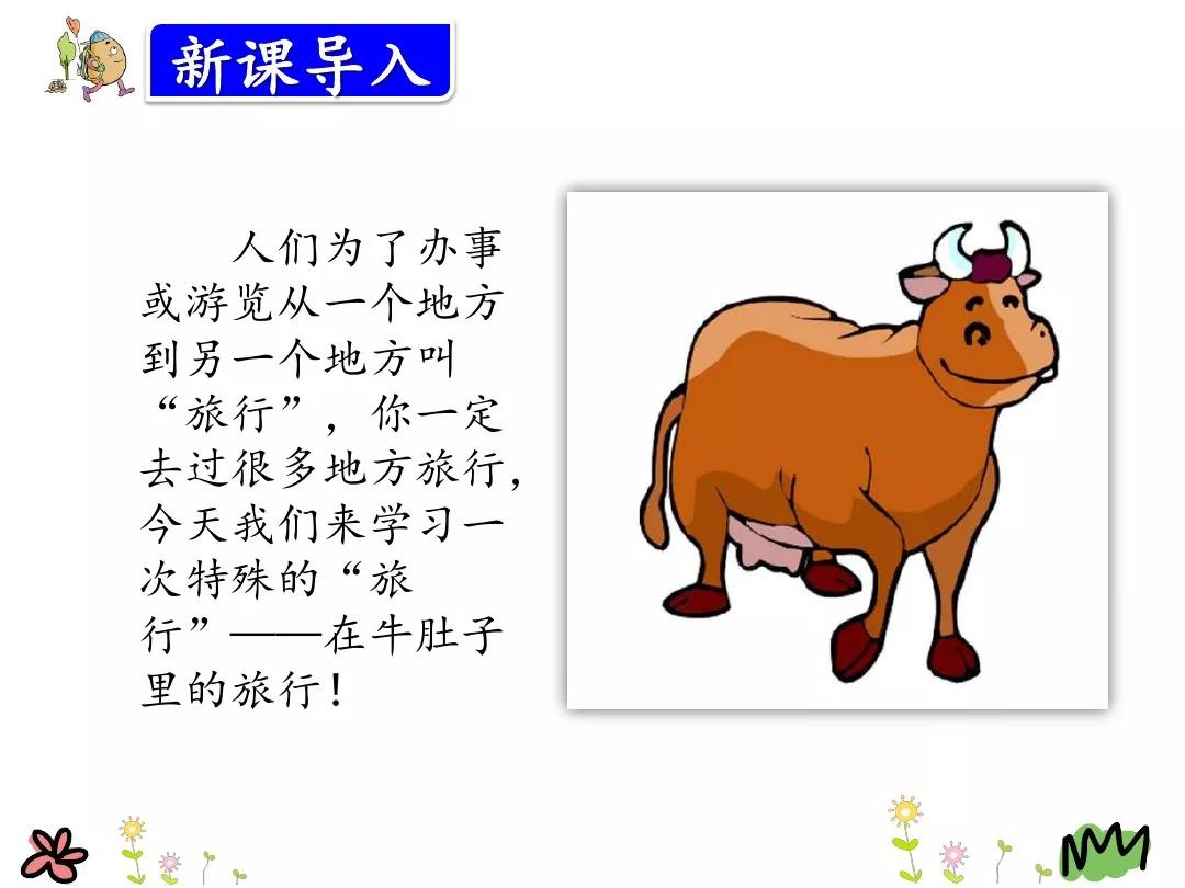 描写红头在牛肚子里的旅行路线