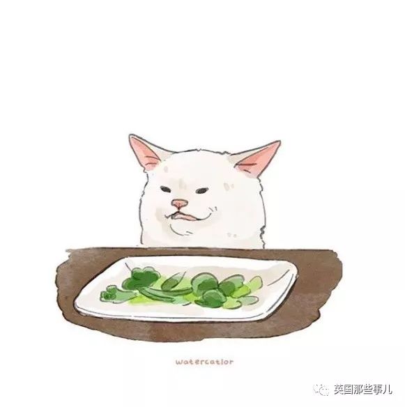 cat怎么吃