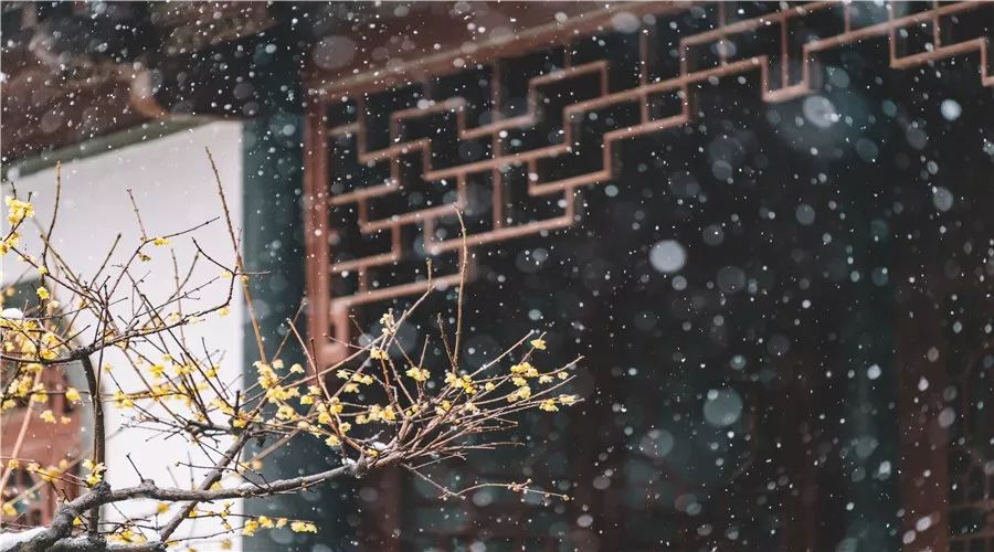 黄梅戏梅花情曲谱_黄梅戏豆腐女曲谱(2)