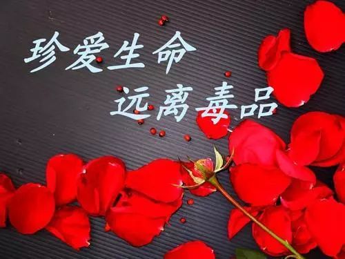 珍爱生命远离毒品这是您必须知道的禁毒防毒知识