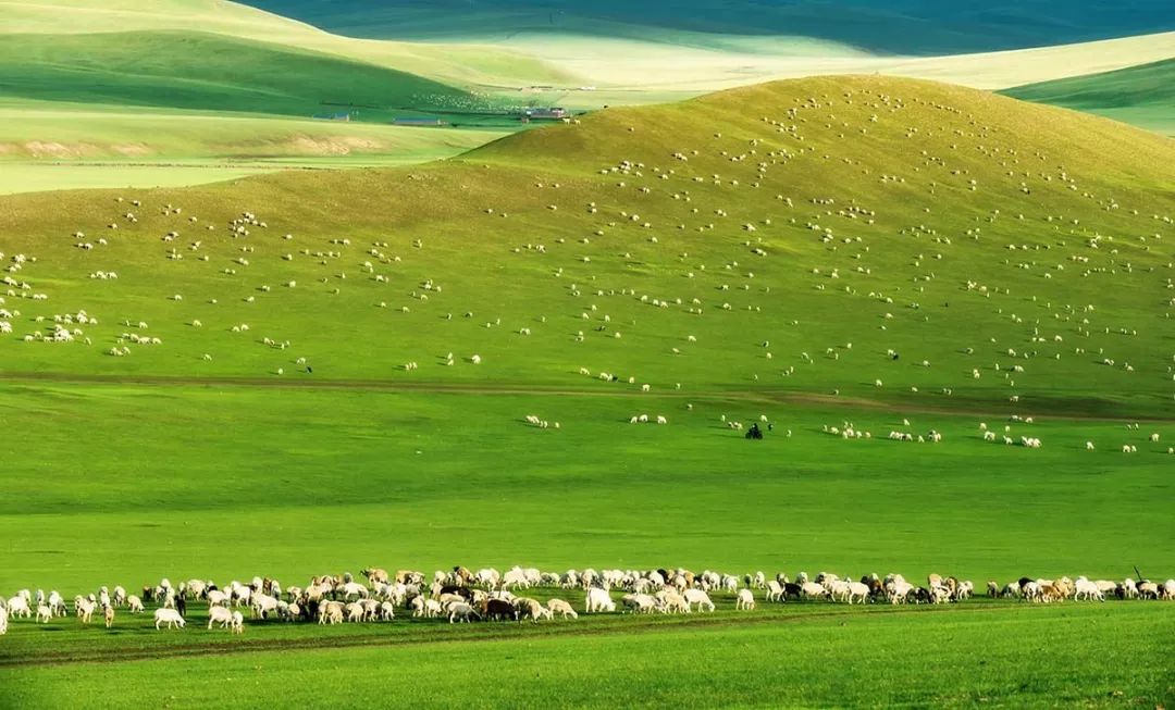 听完这首歌,你会不会想家?