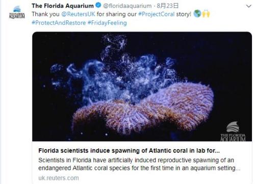 史上首次美科学家成功诱导濒危大西洋柱珊瑚产卵