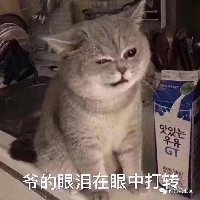 4fe04c1e99ab4187871c9f64119d06ab.JPG