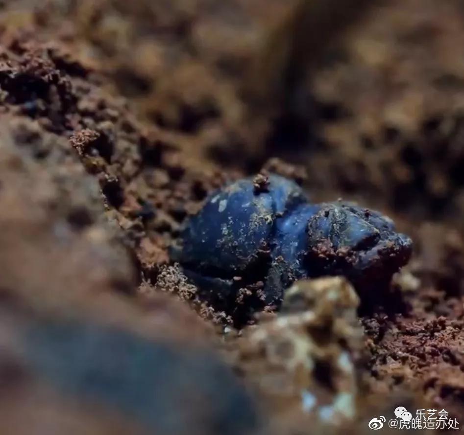 浅谈两汉魏晋南北朝琥珀兽形饰 史学研究 第8张-我们的平安彩票导航网 浅谈两汉魏晋南北朝琥珀兽形饰 史学研究 第8张