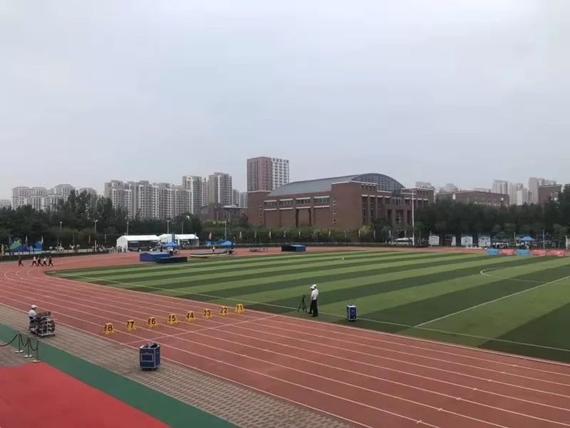 天津实验中学滨海学校 全力保障特奥会进行实录