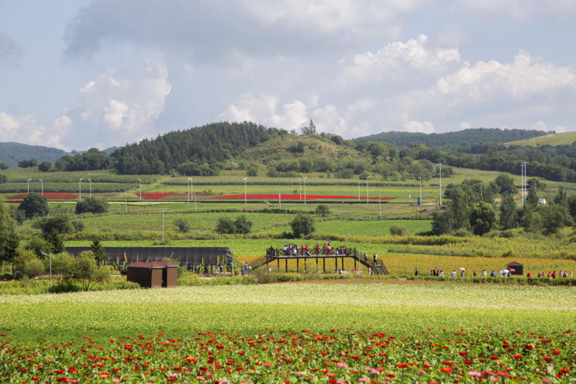 2019中国长春莲花山 花开大地阡陌间,献礼祖国70年 大型主题花海