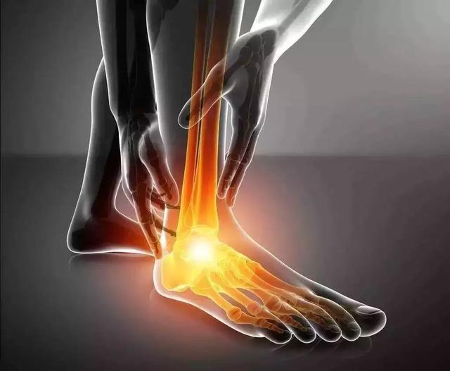 踝关节是人体负担最重的关节,也是运动训练过程中最易受损伤的