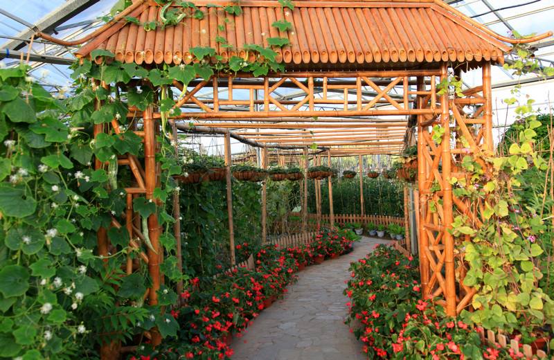 什么时候开始种菜最好 65ccd518779e40d6acfa4f1bac1c7907.jpeg