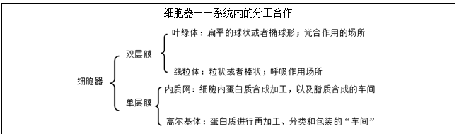 必看!教案教学设计及万能模板