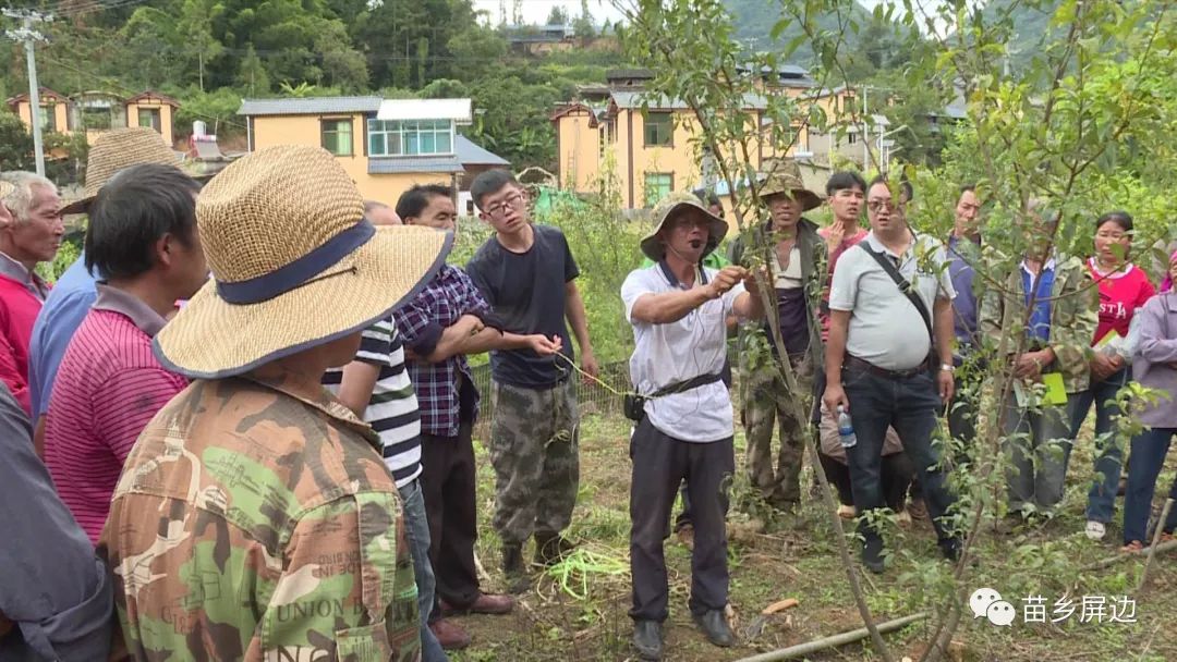 脱贫攻坚屏边县举办农业实用技术科技现场培训会