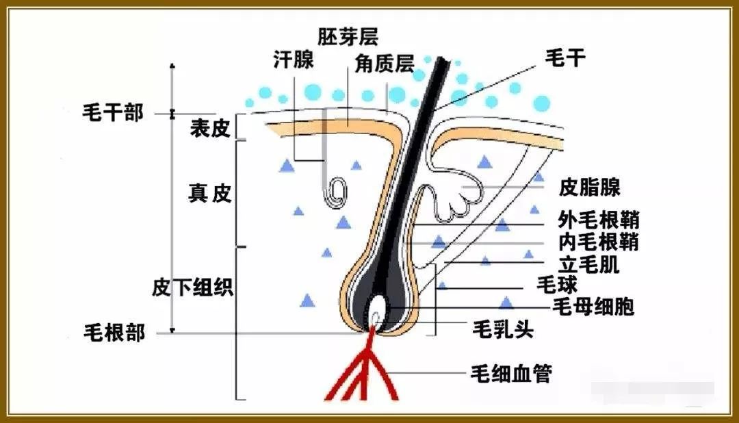 必理疤的原理_图一、nat的工作原理(2)