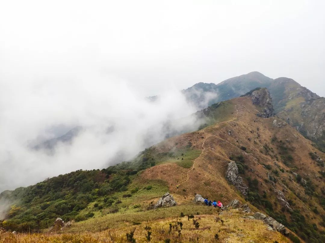 连平黄牛石峰号称