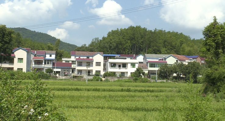 点赞罗田 | 匡河镇:兴建小厕所 改善大民生