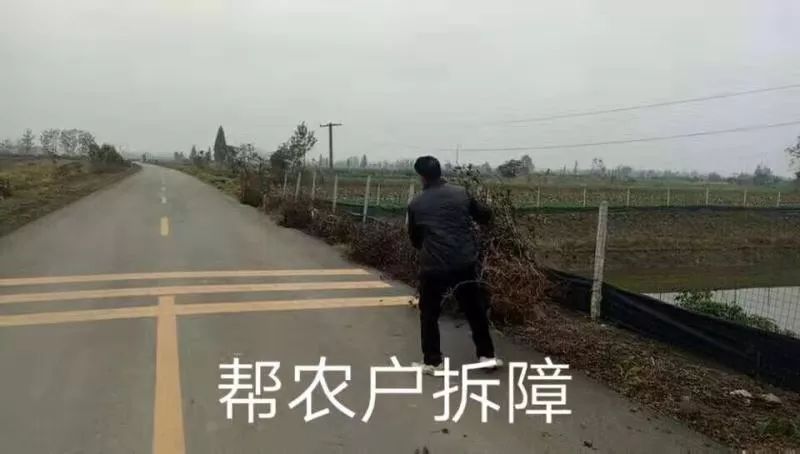 今年4月,我们又参观50周边到余人蜜糖鱼,合口,李台等地组织v周边.小学弘文私立图片