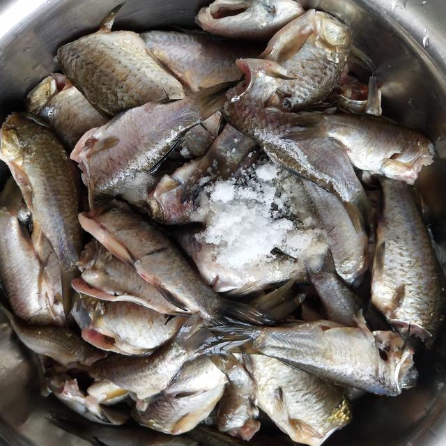 盆盆鱼做法视频 862a16212f87425687e182e186ea0d18.jpeg