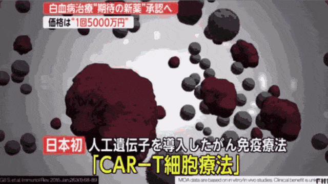 日本宣布已经攻克白血病?