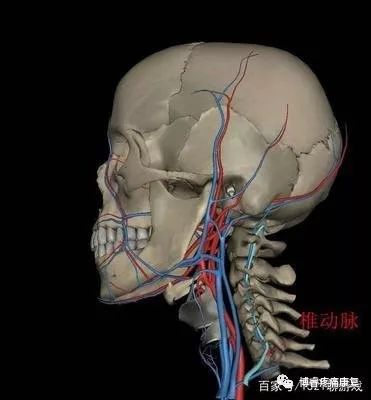 椎动脉型颈椎病的治疗