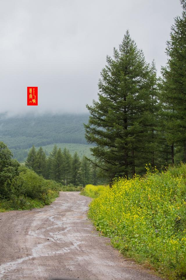 柳樹溝，這個土掉渣的名字，溝裡的風光據說能和瑞士媲美 旅遊 第11張