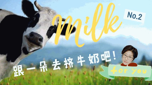 一朵美厨食育活动|开学前去找奶牛约ge会呀!