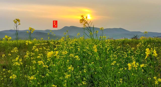 柳樹溝，這個土掉渣的名字，溝裡的風光據說能和瑞士媲美 旅遊 第32張