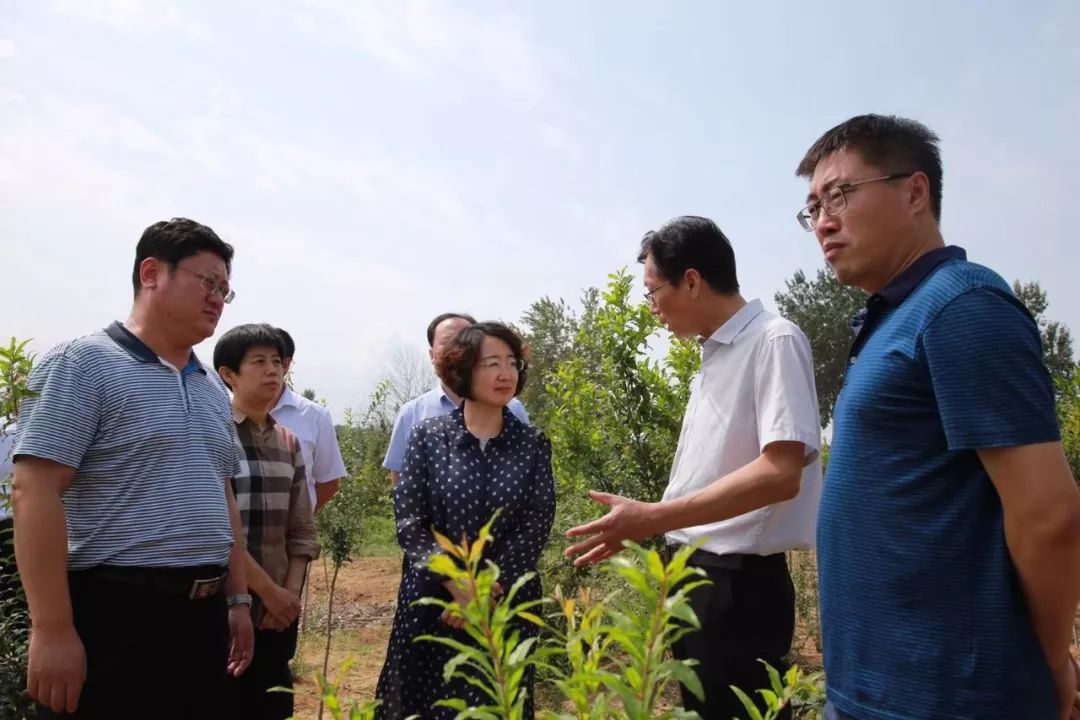 福山区委书记区总河长祁小青巡查区内大沽夹河督导涉水环境问题整治