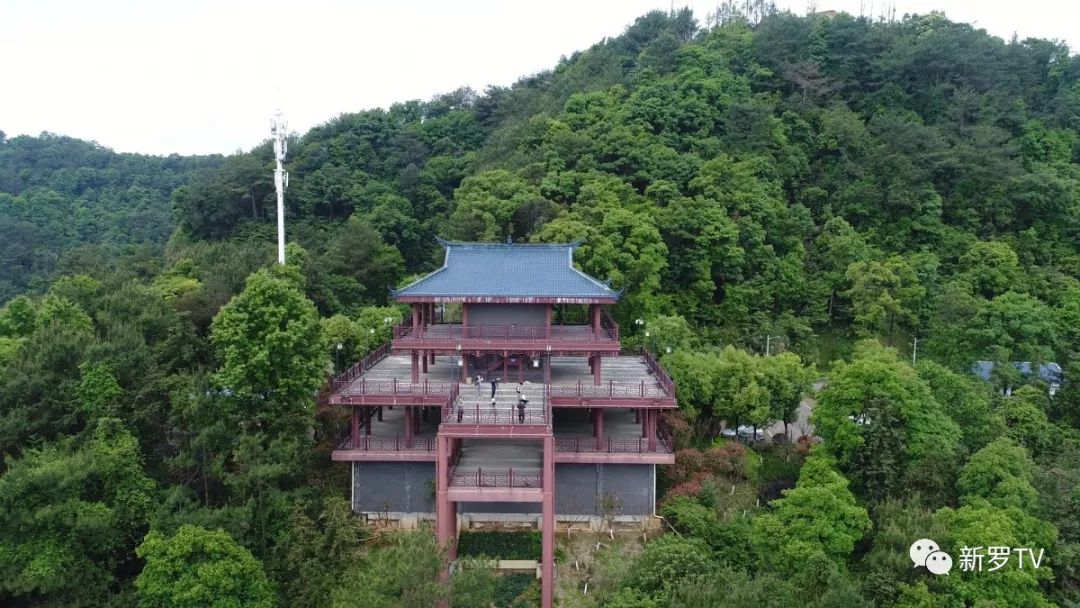 走进大锦山公园领略龙岩锦绣风景